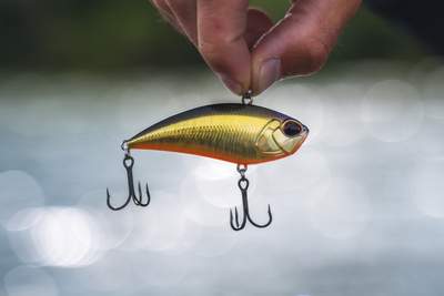 Quality lures
