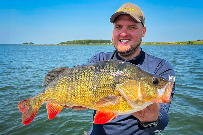 The BESTANGLER story The BESTANGLER story