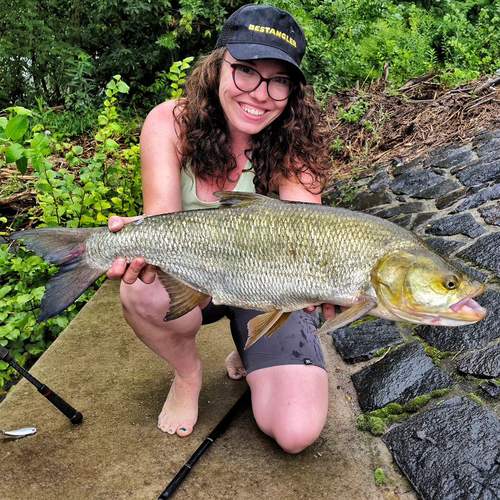 BESTANGLER angler catch photo