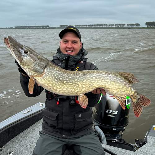 BESTANGLER angler catch photo