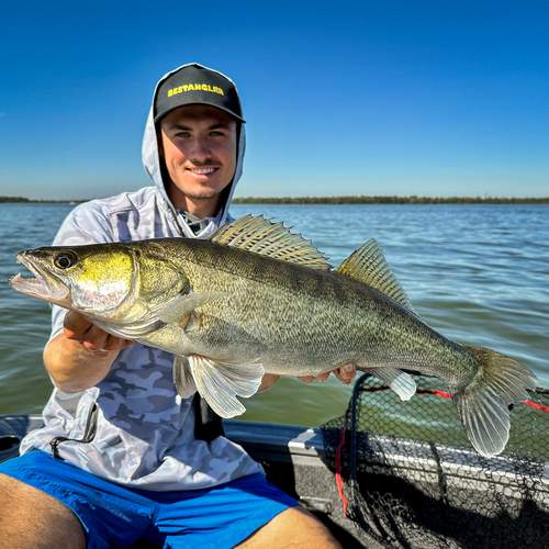 BESTANGLER angler catch photo