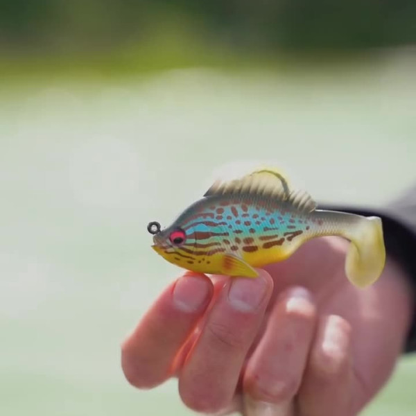 Instagram @thebestangler