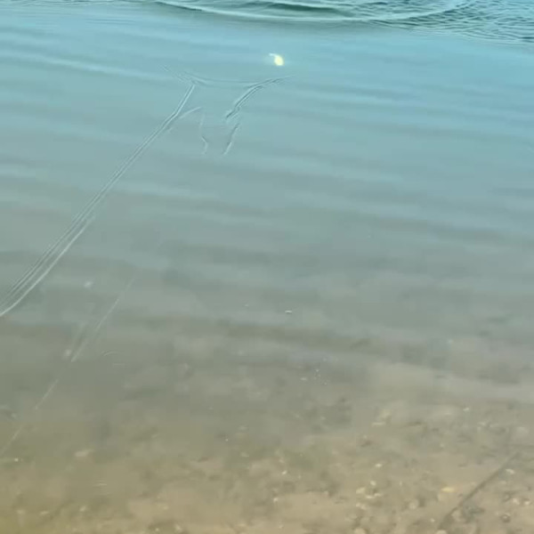 Instagram @thebestangler