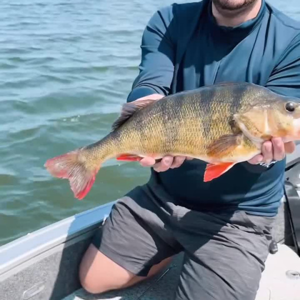 Instagram @thebestangler