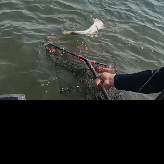 Instagram @thebestangler