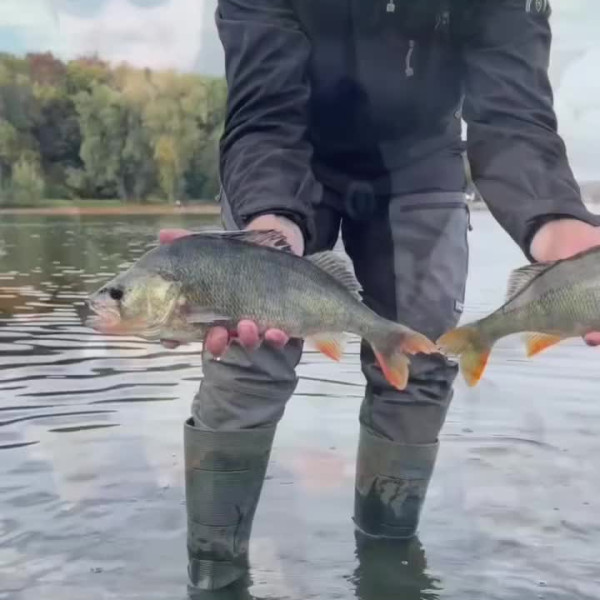 Instagram @thebestangler