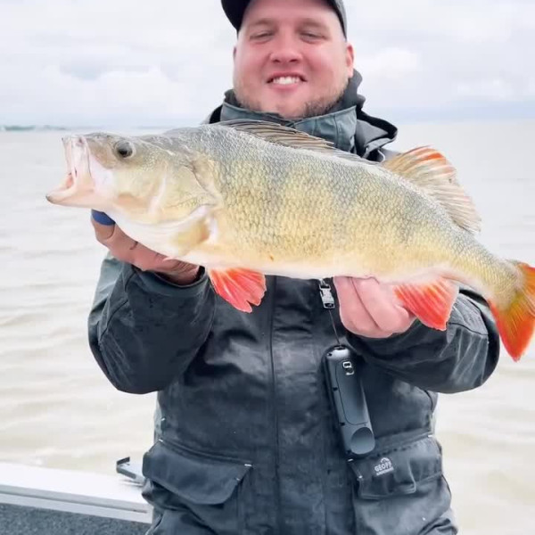 Instagram @thebestangler
