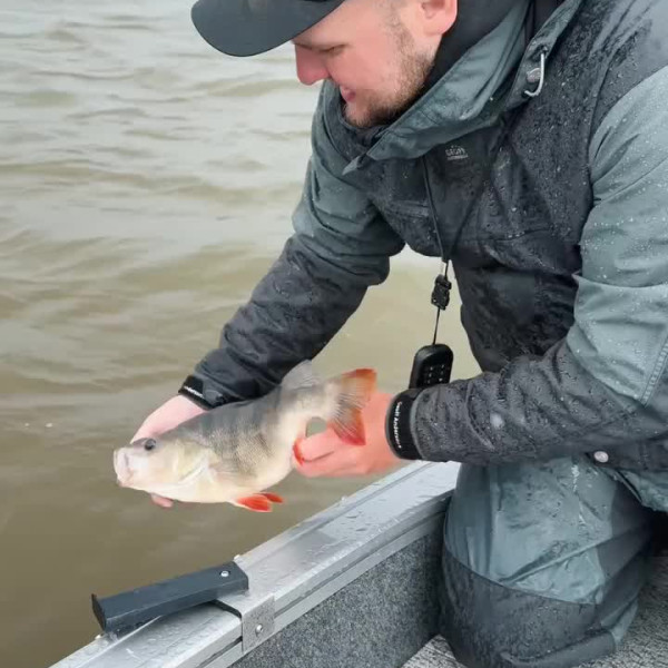Instagram @thebestangler
