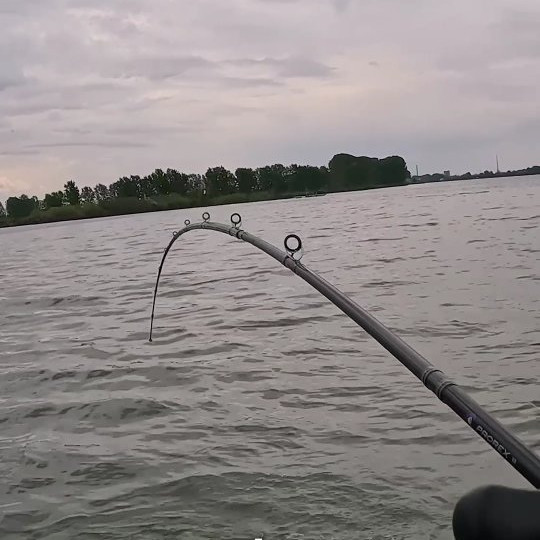 Instagram @thebestangler