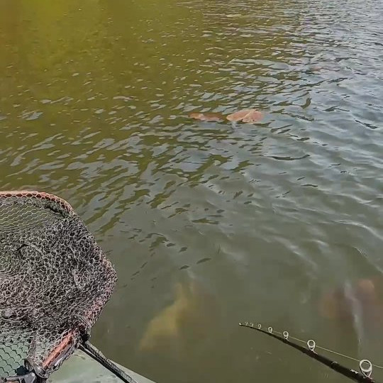 Instagram @thebestangler