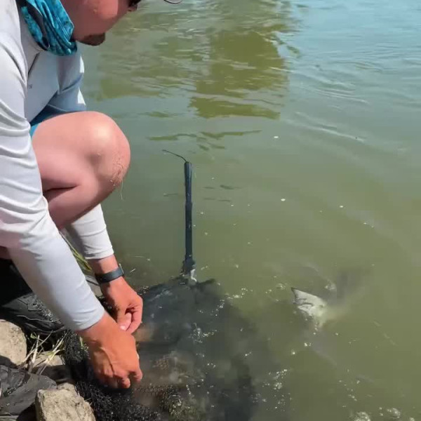 Instagram @thebestangler