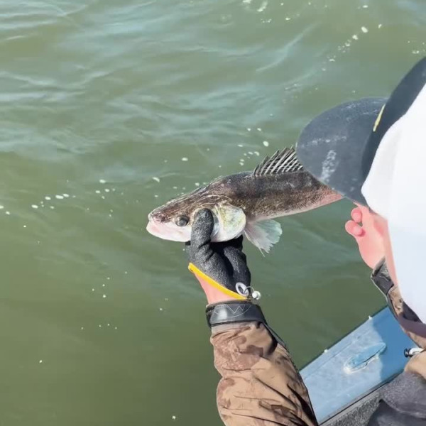 Instagram @thebestangler