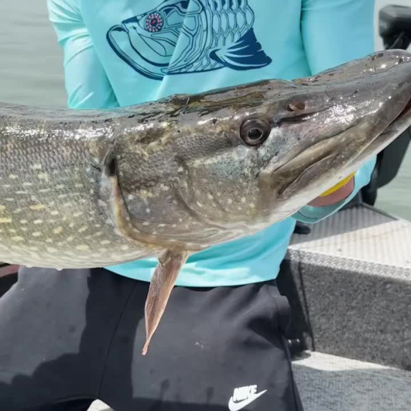Instagram @thebestangler