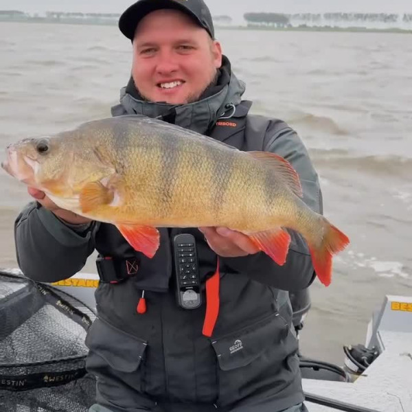 Instagram @thebestangler
