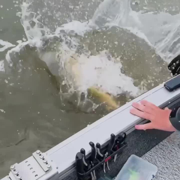 Instagram @thebestangler