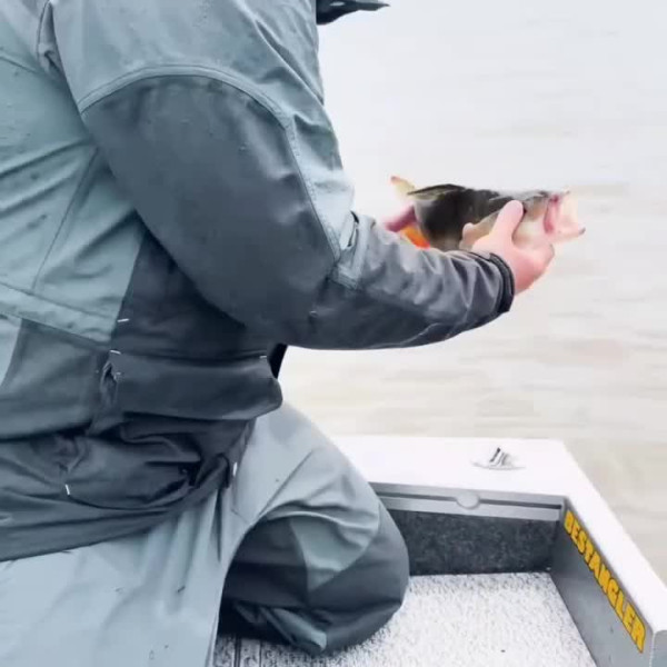 Instagram @thebestangler