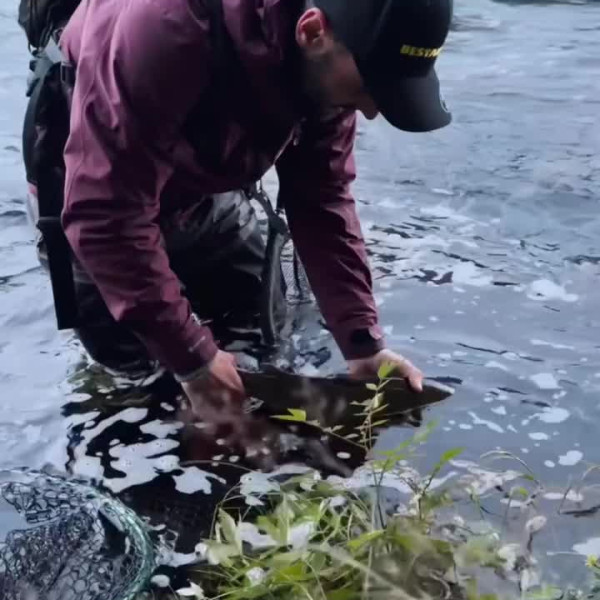 Instagram @thebestangler