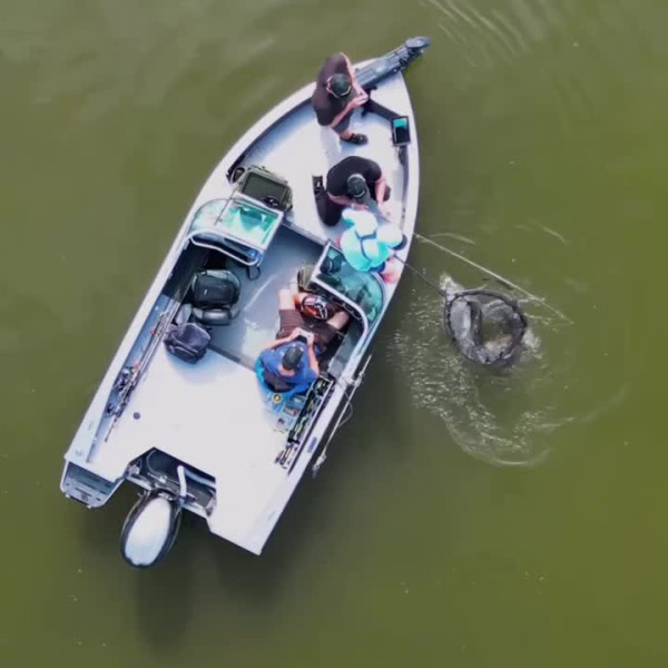 Instagram @thebestangler