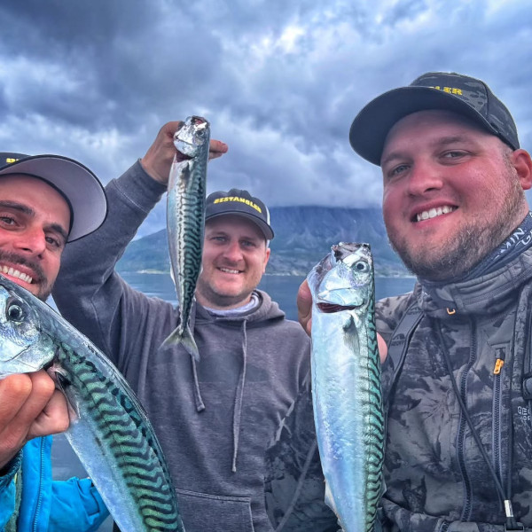 Instagram @thebestangler