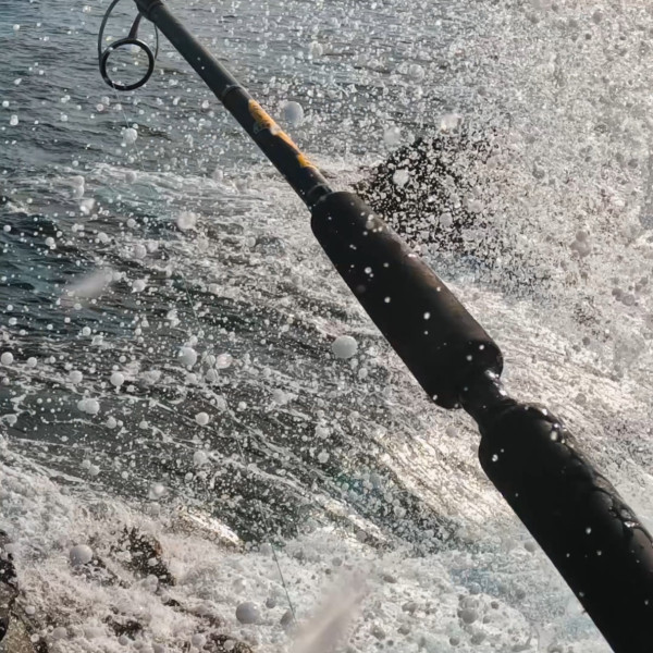 Instagram @thebestangler