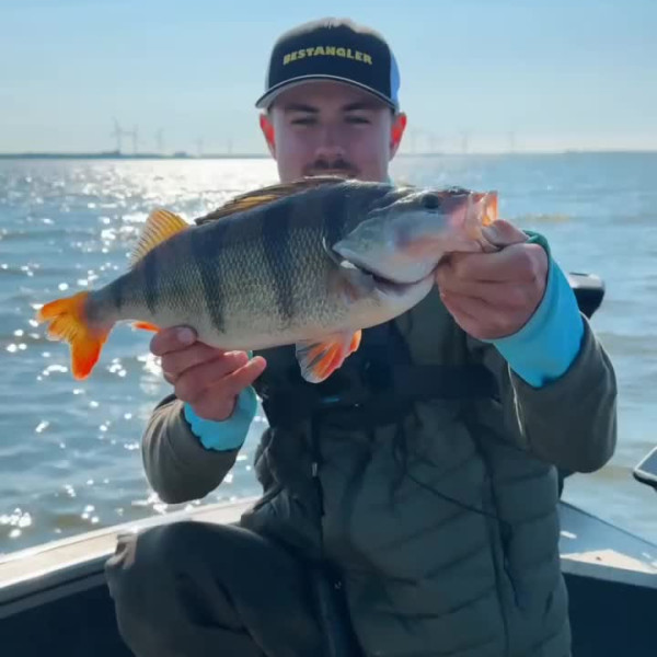 Instagram @thebestangler