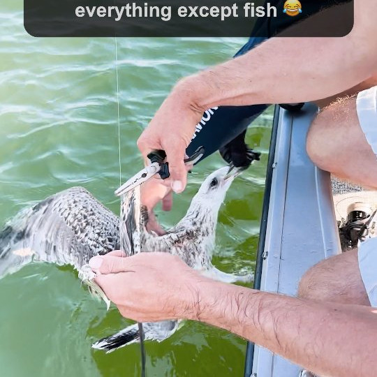 Instagram @thebestangler