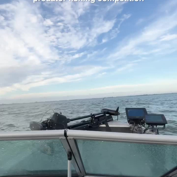 Instagram @thebestangler