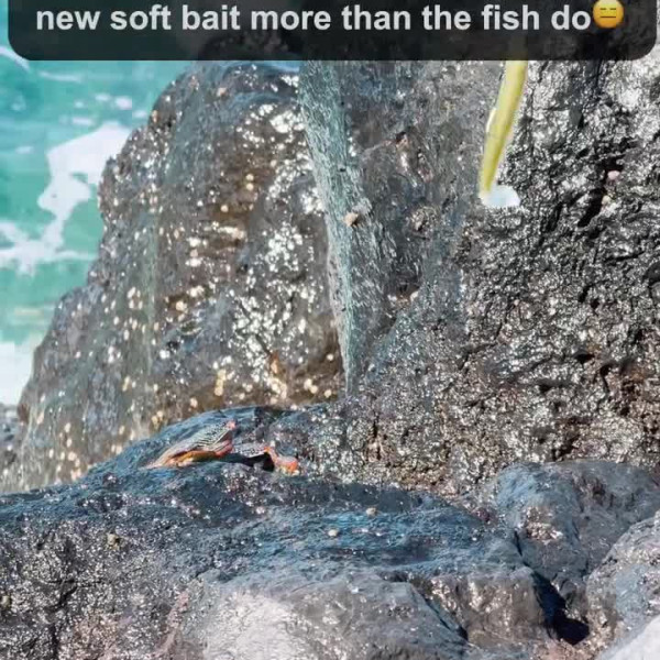 Instagram @thebestangler