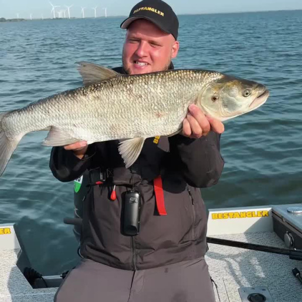 Instagram @thebestangler