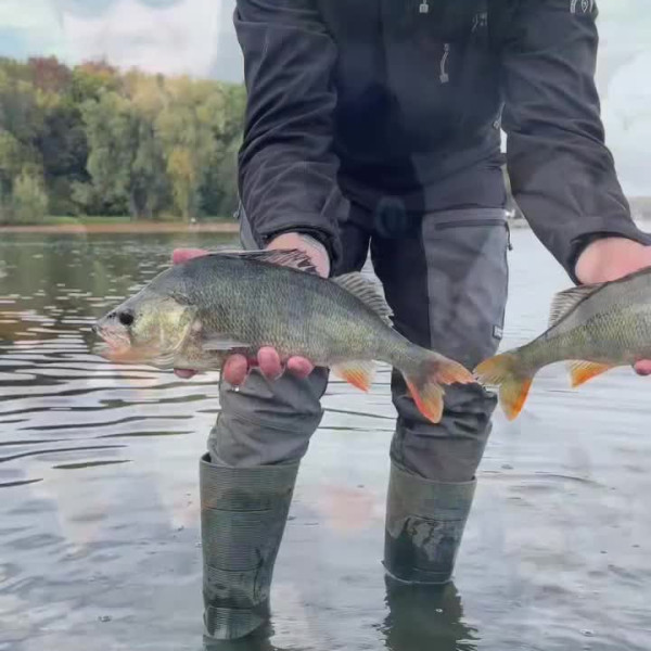 Instagram @thebestangler