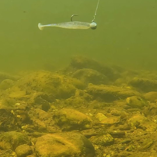 Instagram @thebestangler