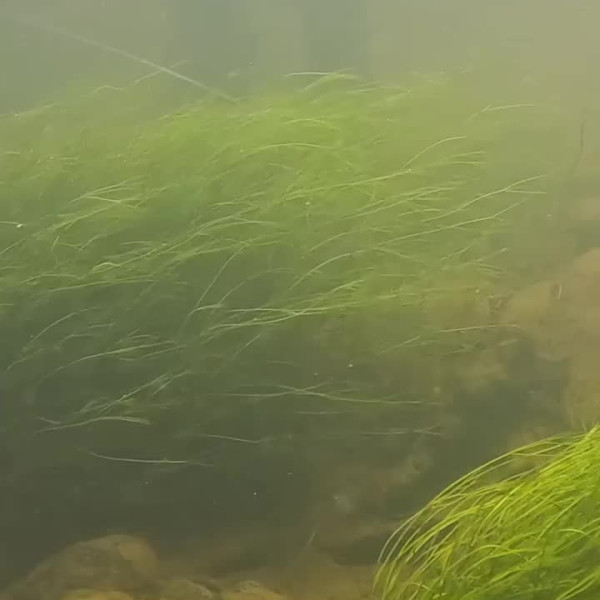 Instagram @thebestangler