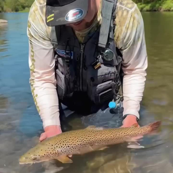 Instagram @thebestangler