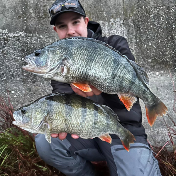 Instagram @thebestangler