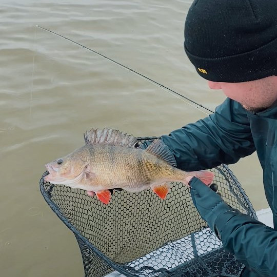 Instagram @thebestangler