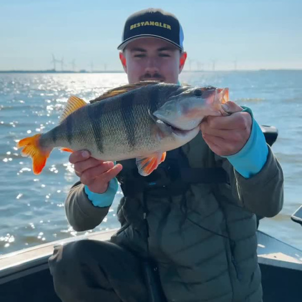 Instagram @thebestangler