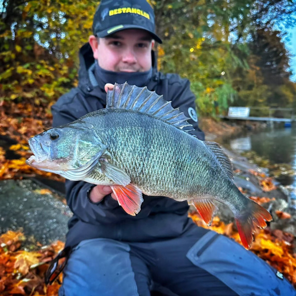 Instagram @thebestangler