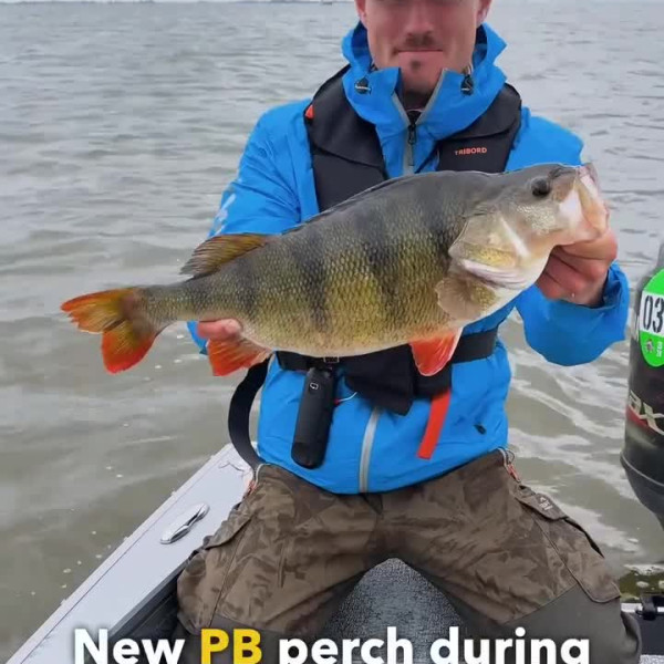 Instagram @thebestangler
