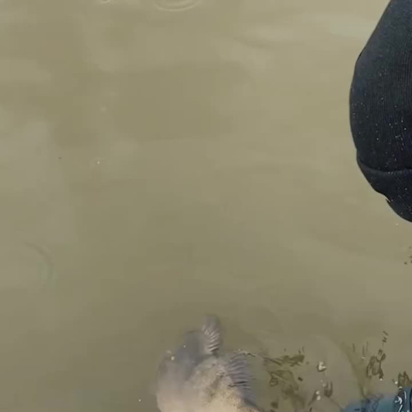Instagram @thebestangler