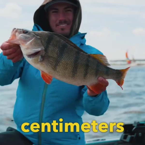 Instagram @thebestangler