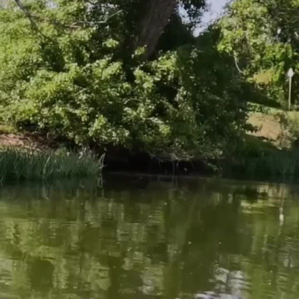 Instagram @thebestangler