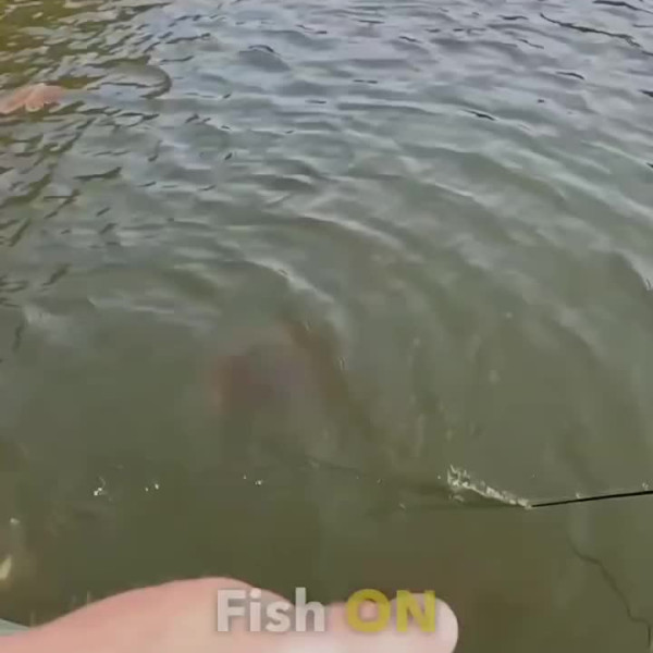 Instagram @thebestangler