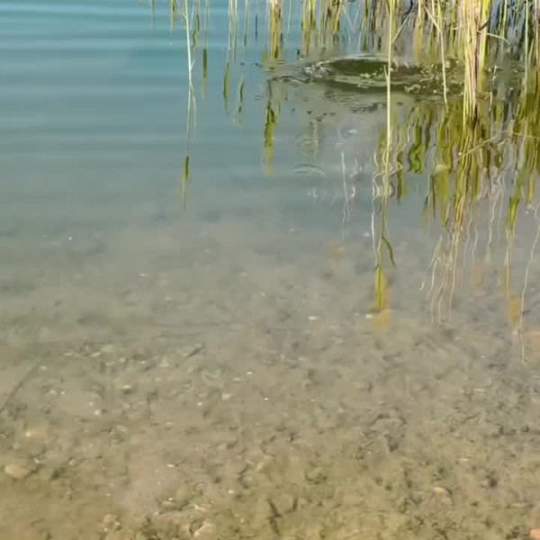 Instagram @thebestangler