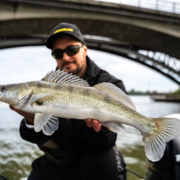 Instagram @thebestangler