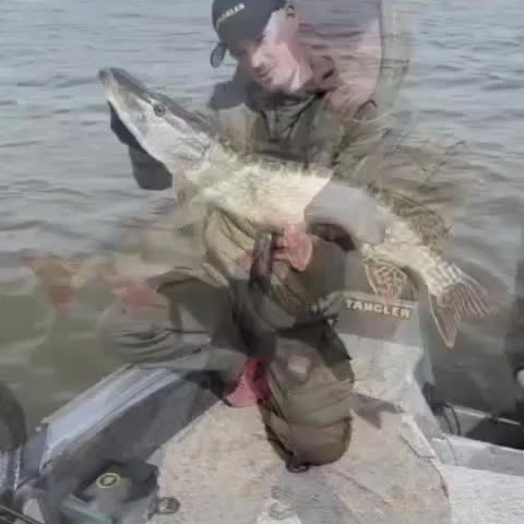 Instagram @thebestangler