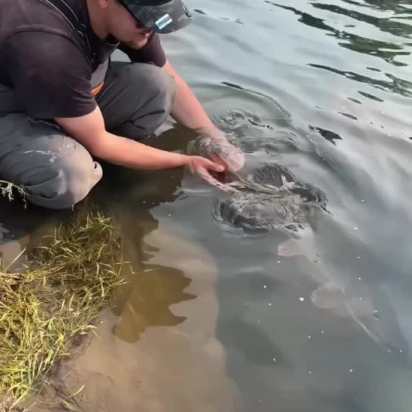 Instagram @thebestangler