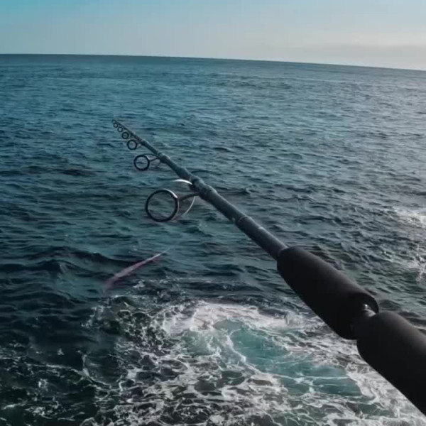 Instagram @thebestangler