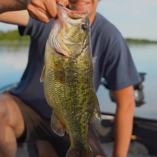Instagram @thebestangler