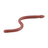 Soft Baits Worms