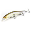 Jerkbaits & Minnows